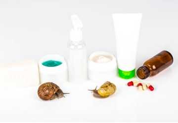 Fighting Ingredients