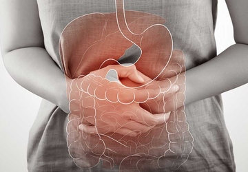 Beauty Inside Out: The Impact of Gut Health on Skin Appearance