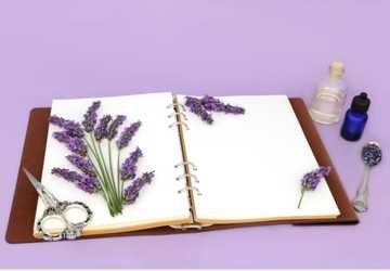 Stress Relief for Your Skin