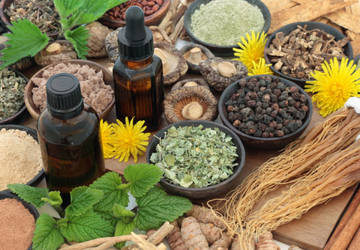 The Rise of Adaptogens in Beauty Products: Stress Relief for Your Skin