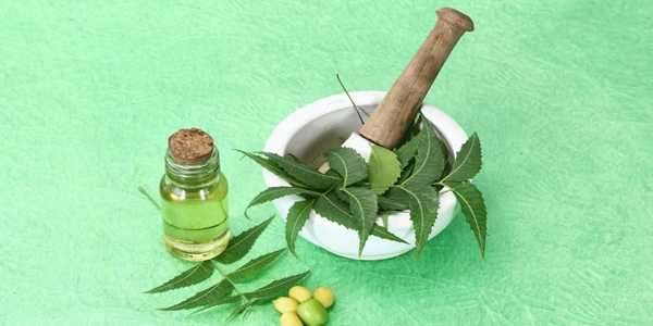 How Neem Is Becoming A Hero Ingredient For Acne-Prone Skin