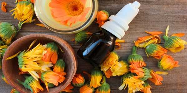 Why Calendula Is The Go-To Ingredient For Healing Skin
