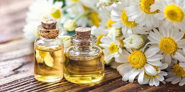 The Wonders Of Chamomile In Calming And Soothing Sensitive Skin